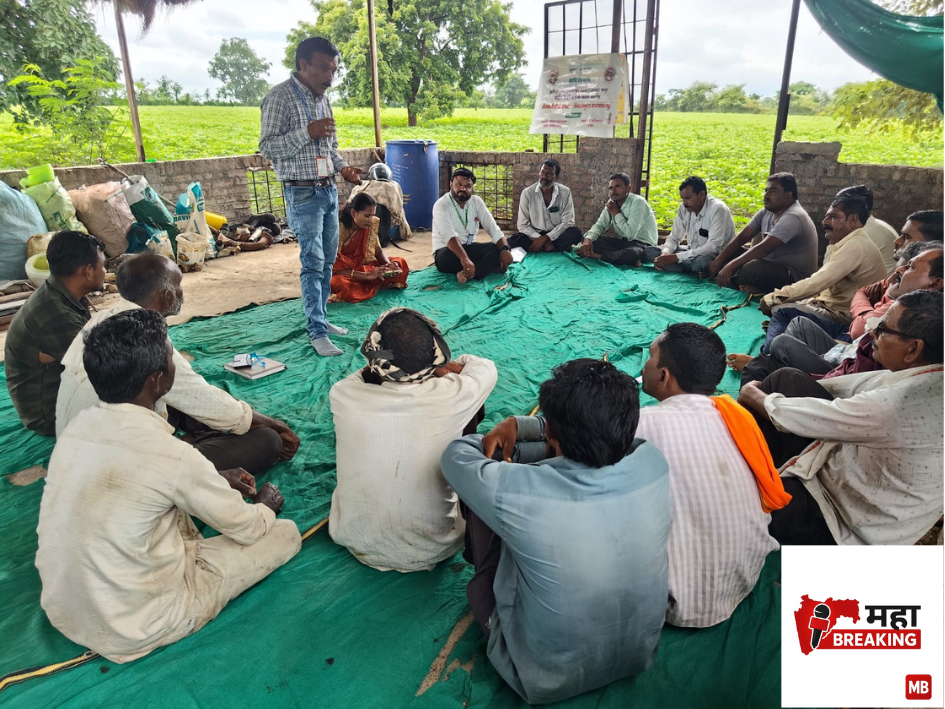 cotton farming