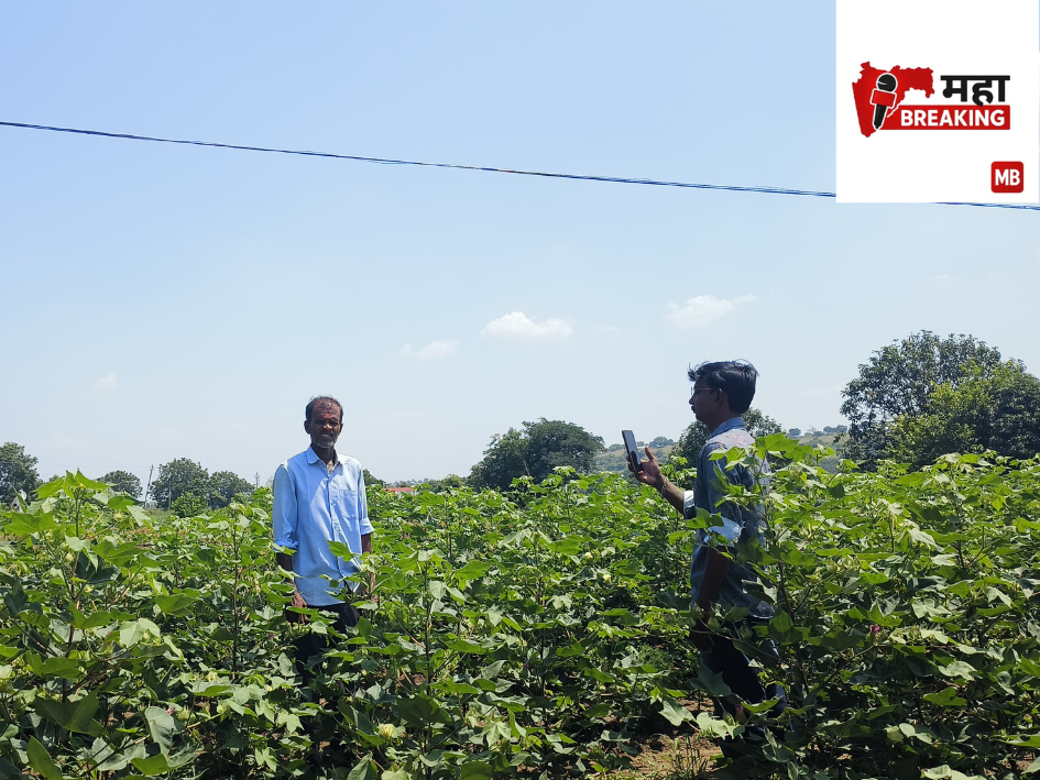   Crop survey
