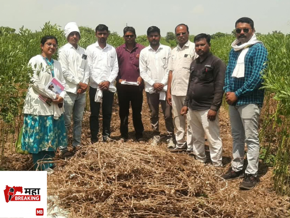 Soybean farmers