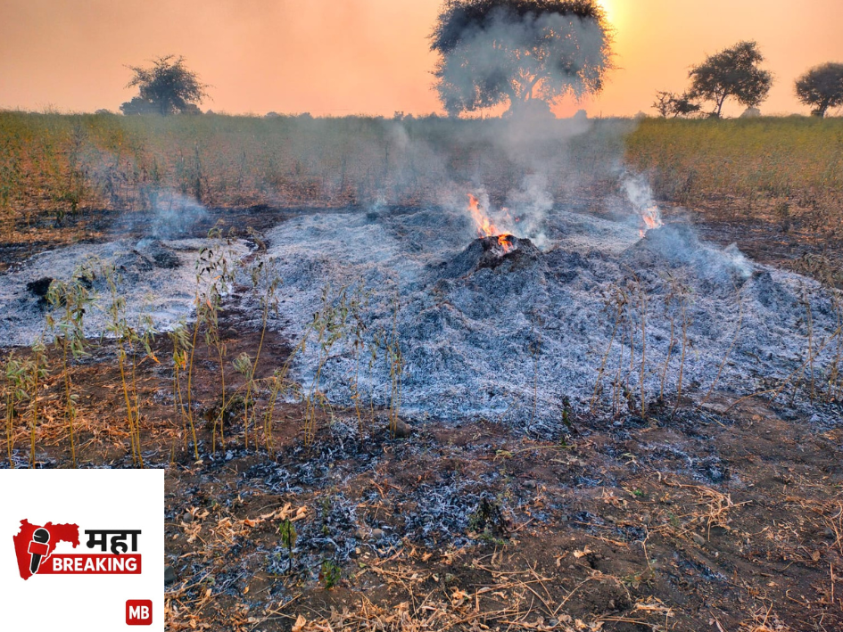 Fire breaks